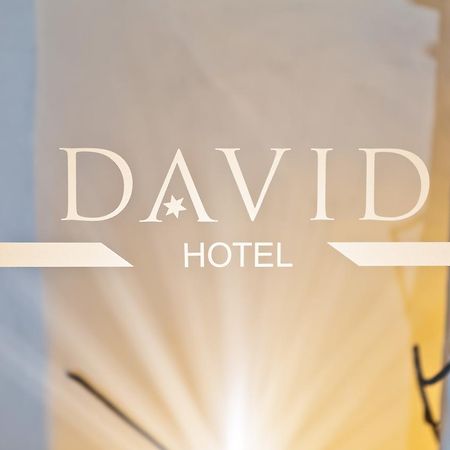 Hotel David An Der Donau Regensburg Luaran gambar
